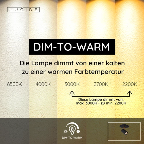 Lucide GRONY - Deckenstrahler - LED Dim to warm - GU10 - 1x5W 2200K/3000K - Schwarz - USP